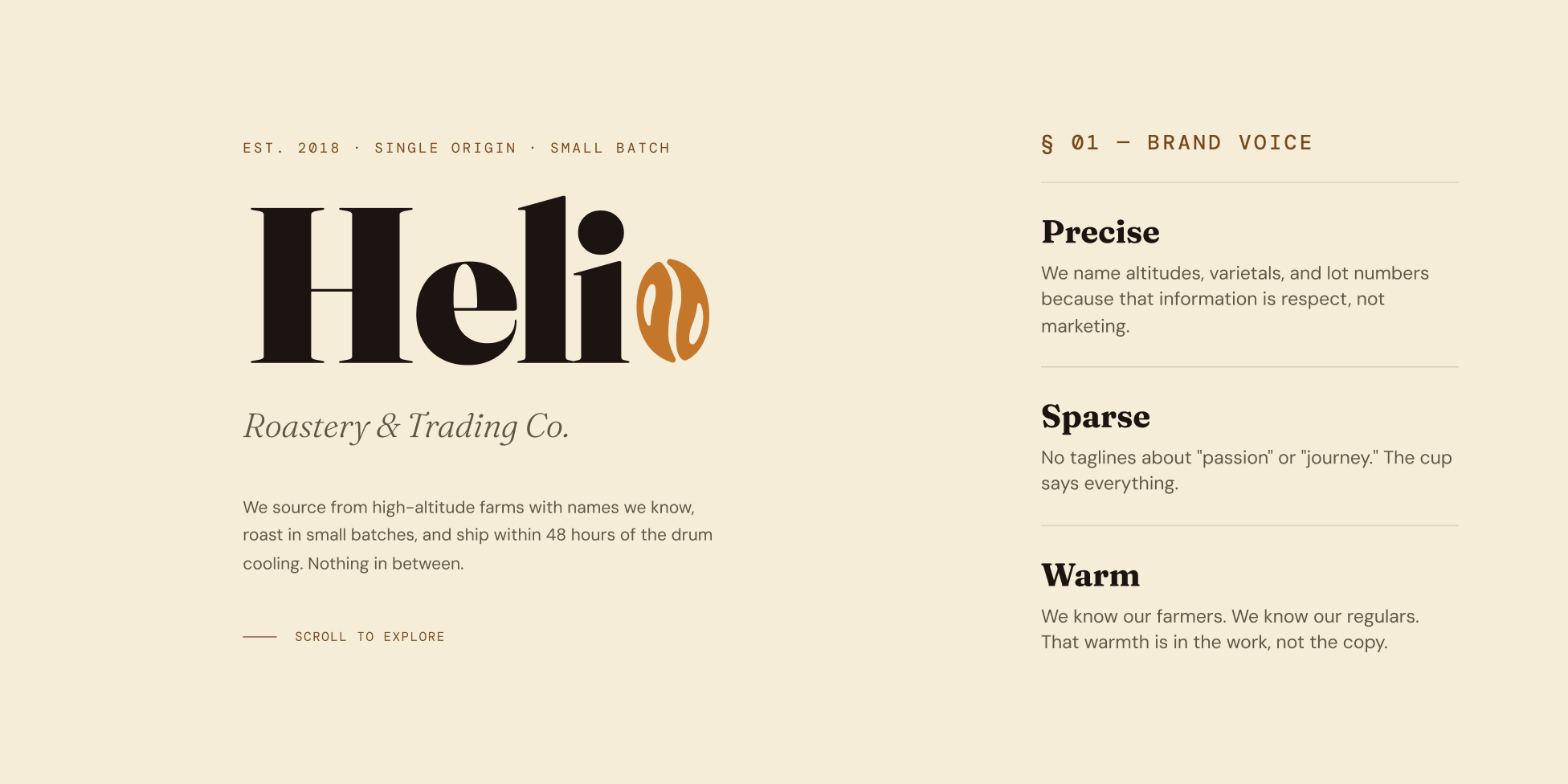 Helio Brand Identity